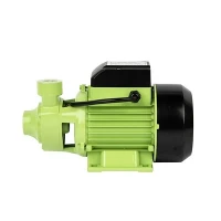 QB70 0.55kW Pompe périphérique à usage intensif-Pompe périphérique entièrement-Moteur en cuivre Protection multiple
